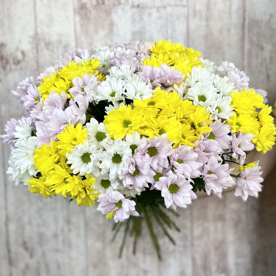 Букет из 21 ветки хризантем - Доставка цветов Саратов. Сервис Delivery Flowers | 8 800 444-00-29