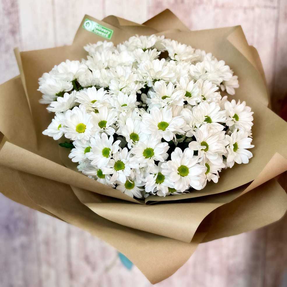Букет из хризантем Bacardi - Доставка цветов Саратов. Сервис Delivery Flowers | 8 800 444-00-29