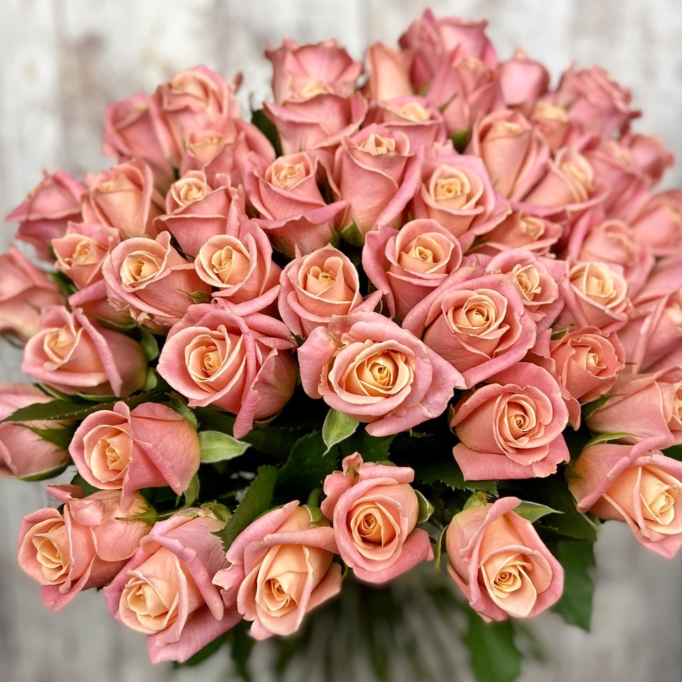 Букет из 51 розы Miss Piggy 70 см. - Доставка цветов Саратов. Сервис Delivery Flowers | 8 800 444-00-29