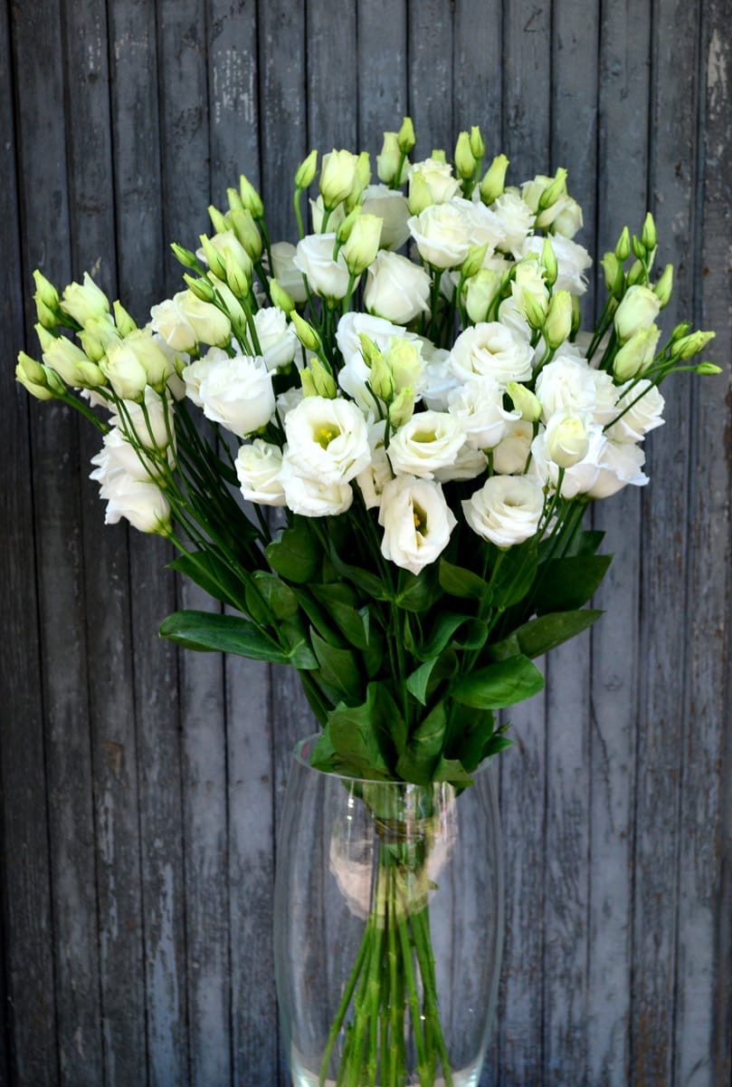 Эустома белая - Доставка цветов Саратов. Сервис Delivery Flowers | 8 800 444-00-29