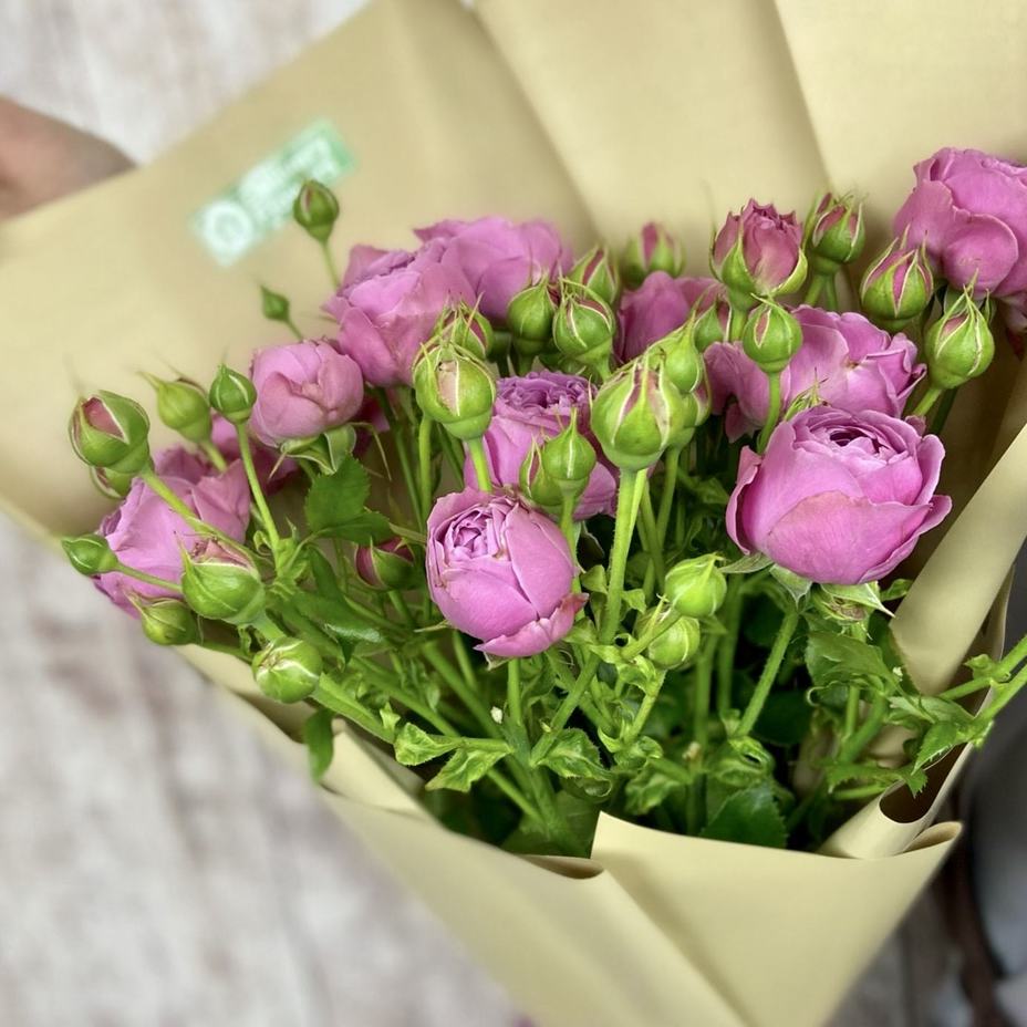 Букет из 5 веток розы Misty Bubbles - Доставка цветов Саратов. Сервис Delivery Flowers | 8 800 444-00-29