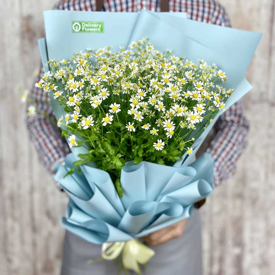 Букет из 11 веток танацетума - Доставка цветов Саратов. Сервис Delivery Flowers | 8 800 444-00-29