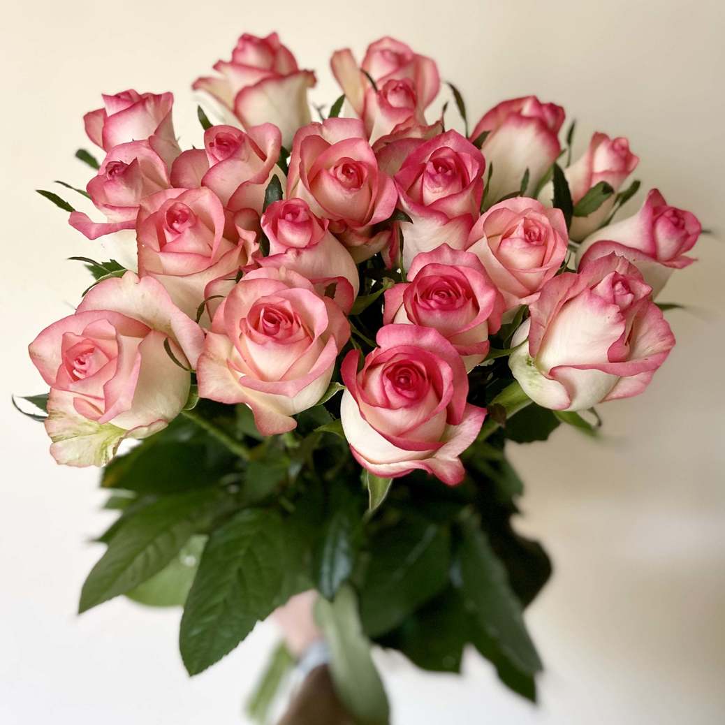 Букет из 21 розы Jumilia 70 см. - Доставка цветов Саратов. Сервис Delivery Flowers | 8 800 444-00-29